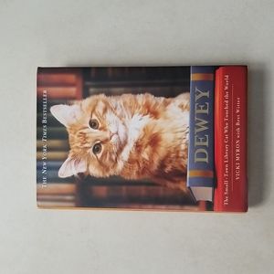 DEWEY Book about Small-Town Cat